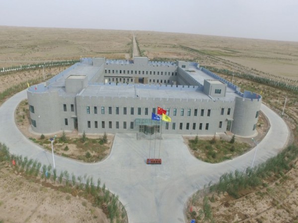 中國綠色碳匯基金會(huì)調(diào)研甘建投工程與生物治沙試驗(yàn)基地