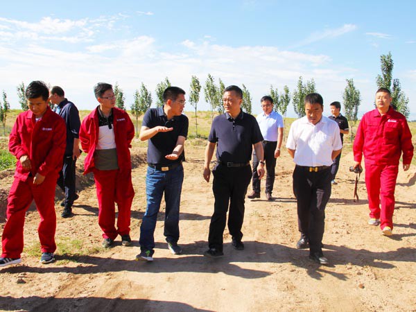 甘肅建投副總經(jīng)理孟康榮調(diào)研新能源公司