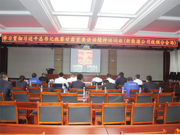 新能源公司學(xué)習(xí)習(xí)近平總書(shū)記視察 甘肅重要講話和指示精神