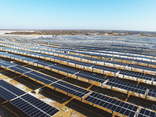 寒潮擋不住的建設(shè)熱潮 ——新能源公司羊老大50MWp光伏電站項目建設(shè)如火如荼進(jìn)行