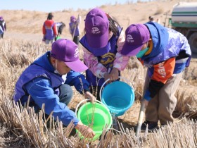甘肅建投新能源公司沙漠研學(xué)旅行基地舉辦“我與小樹共成長，爭做護(hù)綠小使者”主題研學(xué)活動